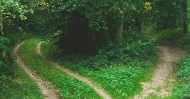 Founders Guide to Layoffs