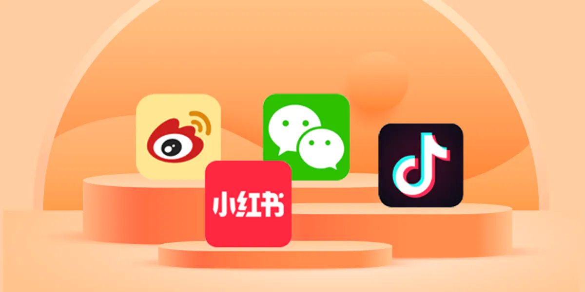 Understanding Chinese Social Media