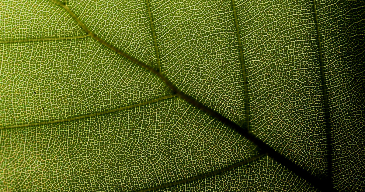 Data helps assess customer vulnerability, affordability