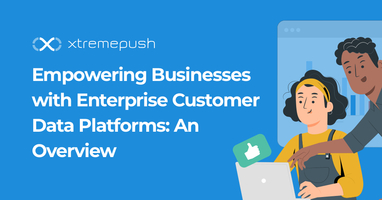 Empowering Businesses with Enterprise Customer Data Platforms: An Overview