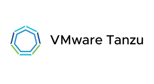 Software intelligence for VMware Tanzu