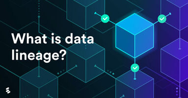 What is data lineage?