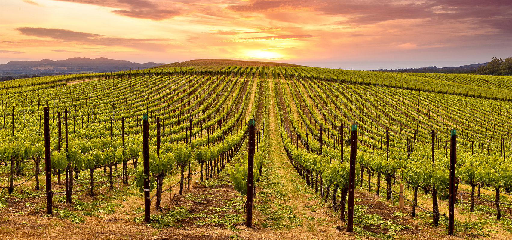 5 reasons to attend UNIFY by Singular