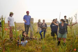 How KCI uses Lexio to maintain a data-driven culture