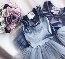 How iloveplum Increased Their Average Order Value By 97% With ShipBob's 2-Day Express Shipping [Case Study]