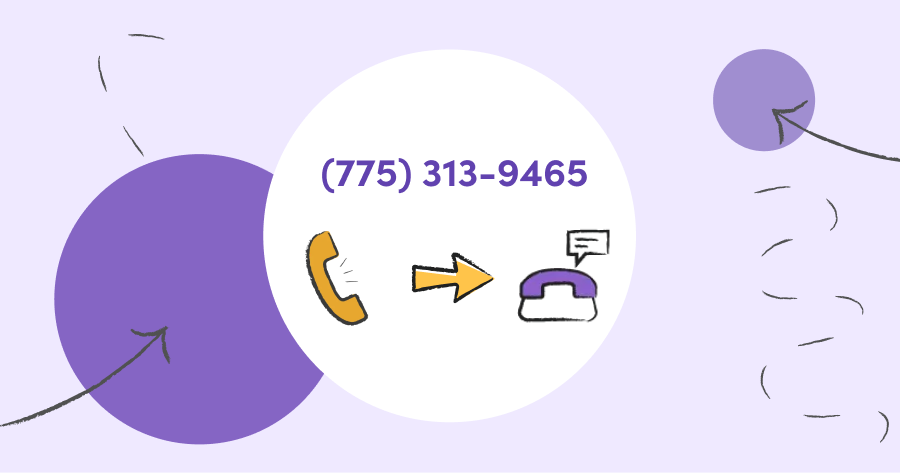 Porting Phone Number vs. Hosted Number | How to Port Numbers