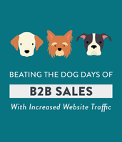 The Dog Days of B2B Sales - BenchmarkONE