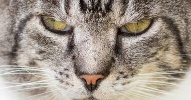 10 Annoying Facebook Mistakes Your Business Should Avoid