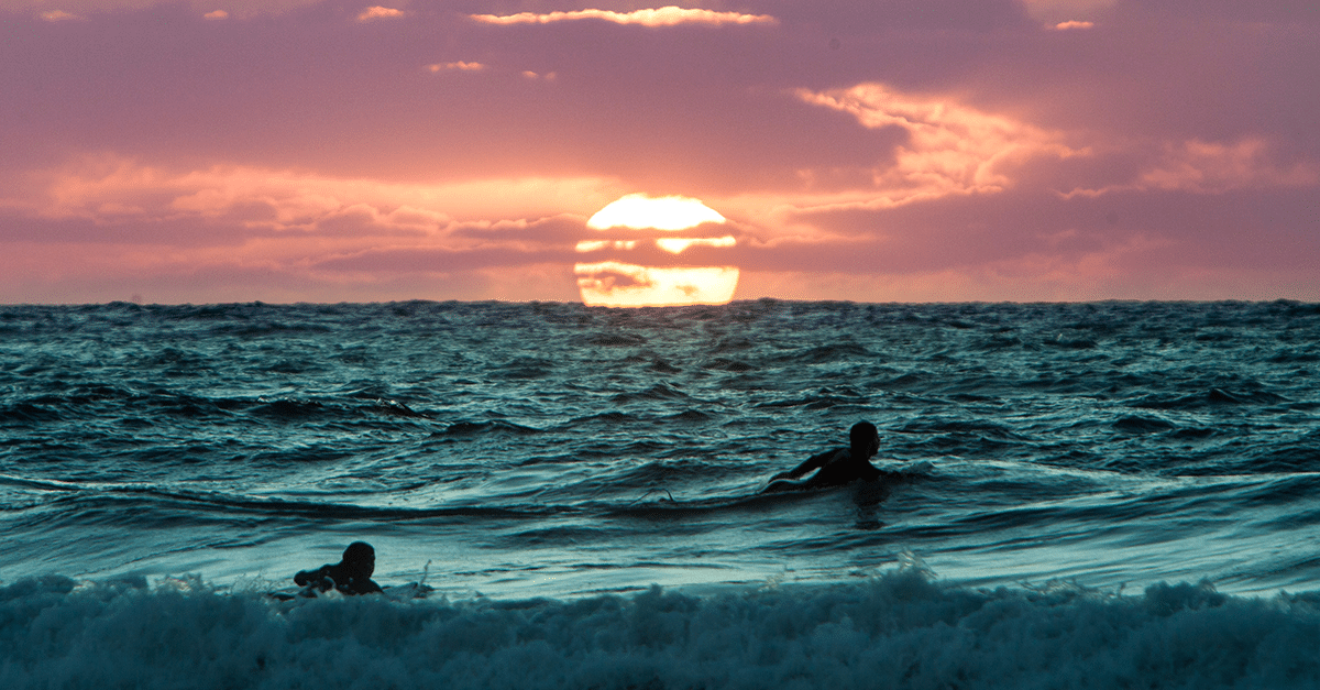 Snowflake | Case Study