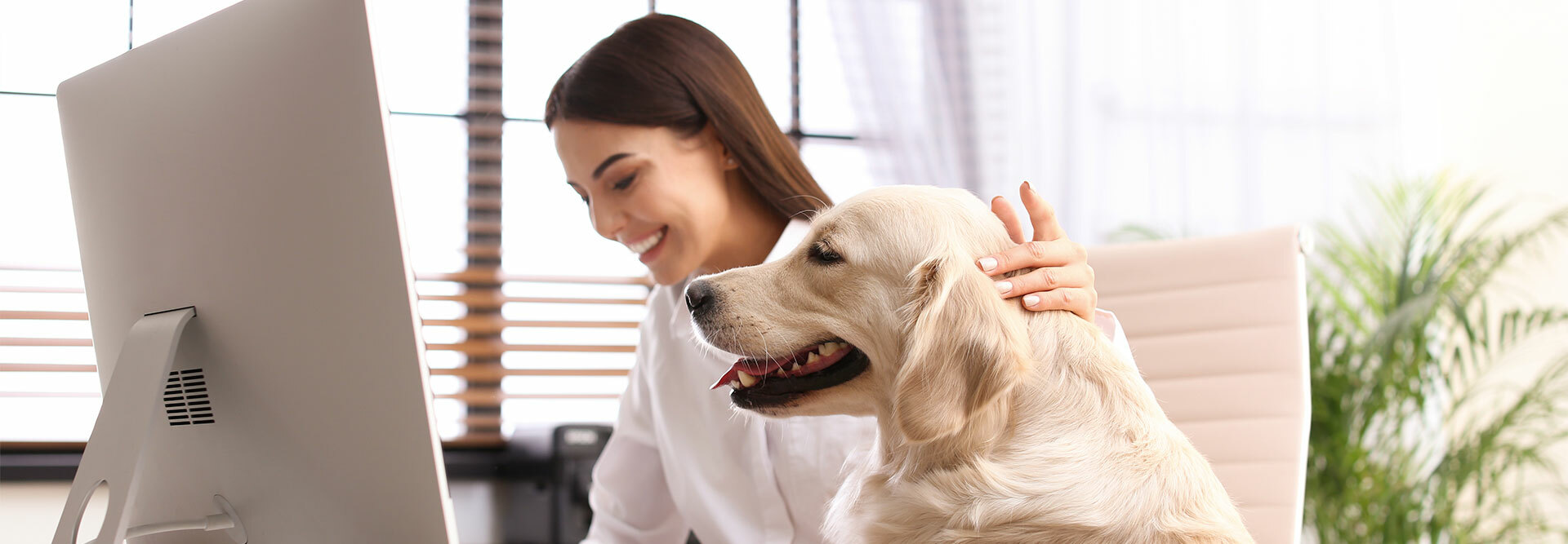 Marketers and sales staff reap benefits of hot jobs market