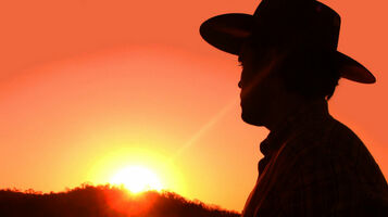 Wrangle your WordPress websites