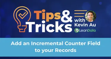 Add an Incremental Counter Field to your Records