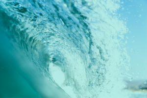 "Why Mediaocean?" Our employees' perspective