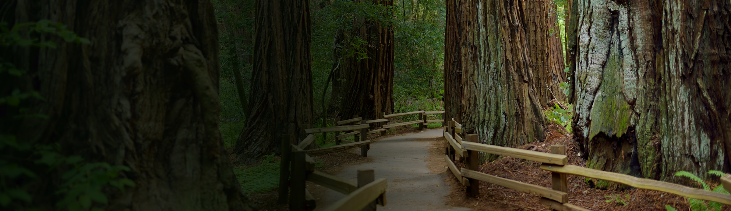 Marin County optimizes mobile forms with Experience Manager