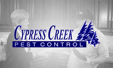 Cypress Creek Pest Control Case Study of Success with ClientPoint