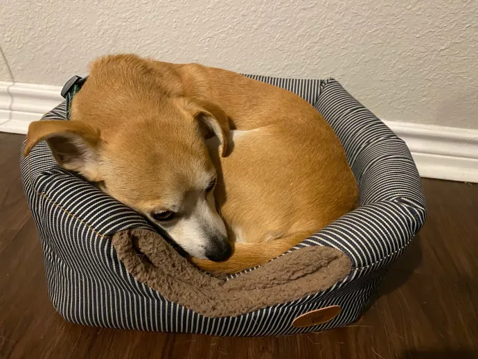 The 9 Best Content Marketing Courses in 2022 (Beginner to Advanced)