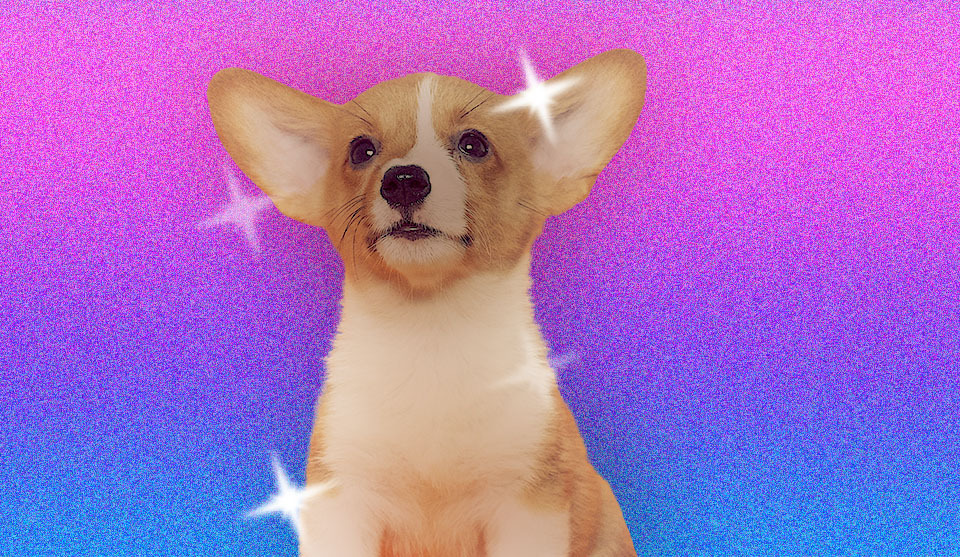 It's a Great Time to be a Puppy (Mostly) - Ceros Inspire: Create, Share, Inspire