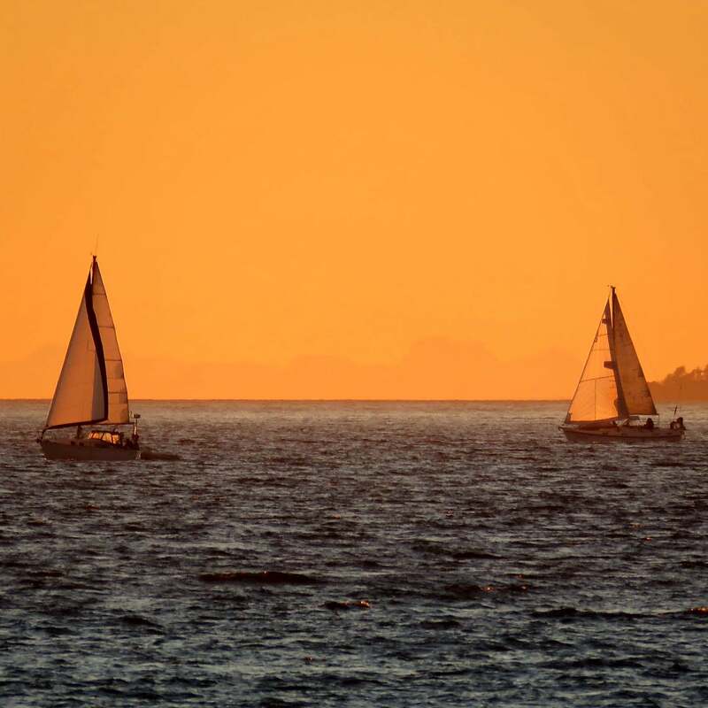 Forr The Planet: Sustainability Interview Series - Atos