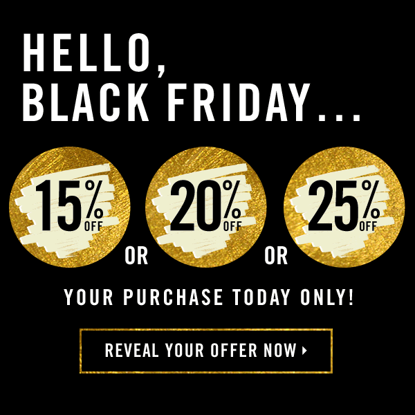 Forever 21 Black Friday Email - Swipe File