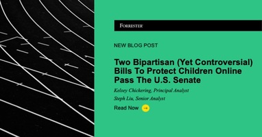 Two Bipartisan (Yet Controversial) Bills To Protect Children Online Pass The US Senate