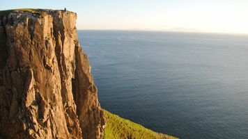 How to Keep Institutional Knowledge from Falling Off the Demographic Cliff