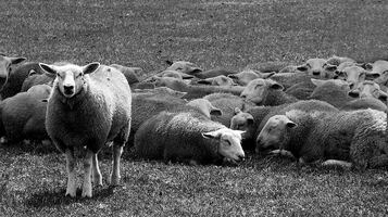 Email design 101 - How to create a beautiful email