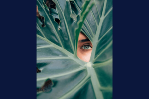 Beauty Gets Personal – But Vegan Is Still Overlooked