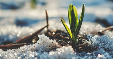 Oshyn 2023 Year In Review