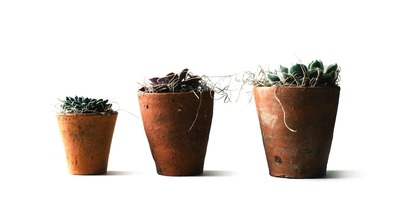 The New Ecommerce Growth Playbook: Scale Your Shopify Store to 8 Figures, 9 Figures & Beyond?