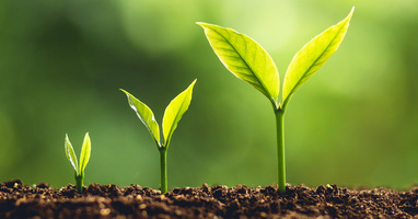 The right path toward operational maturity