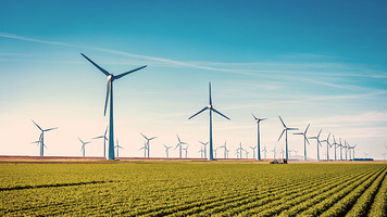 Sustainability and environmentalism