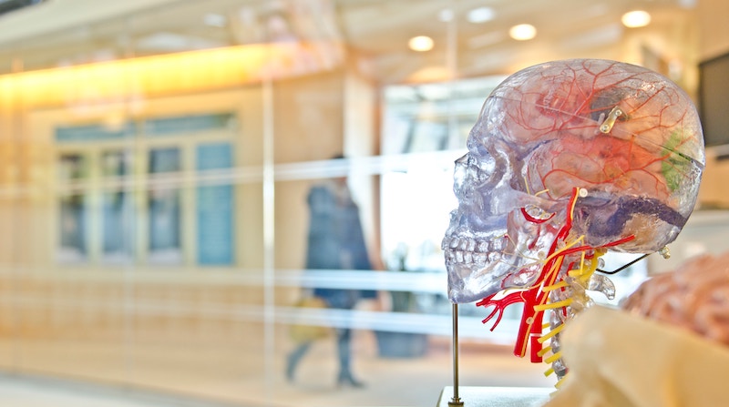 How To Use Neuroscience For Onboarding and Training Sales Reps