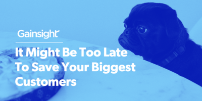 It Might Be Too Late To Save Your Biggest Customers | Customer Success and Product Experience Software | Gainsight