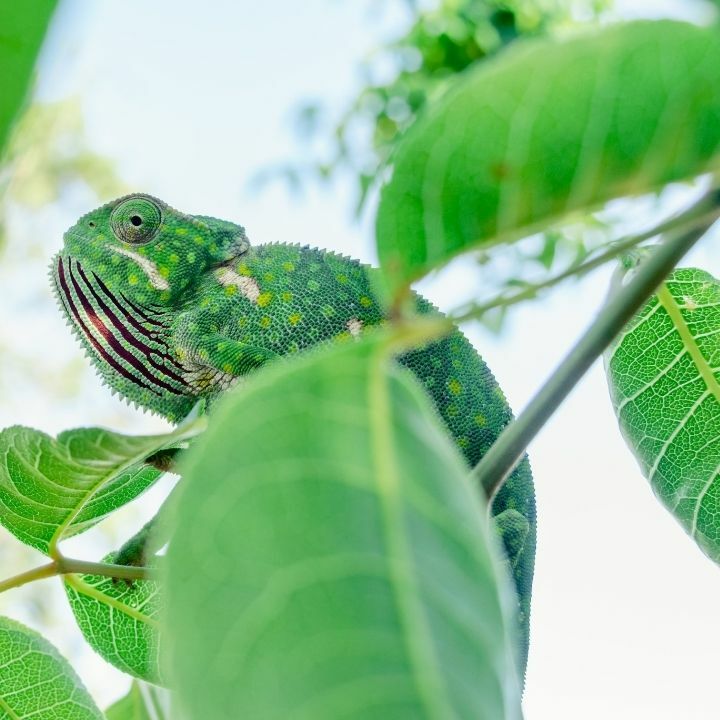 Affiliate never should have been a marketing channel