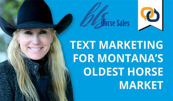 How SMS Marketing Revolutionized Montana's Oldest Horse Market