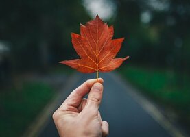 64 Creative November Marketing Ideas (+Examples!)