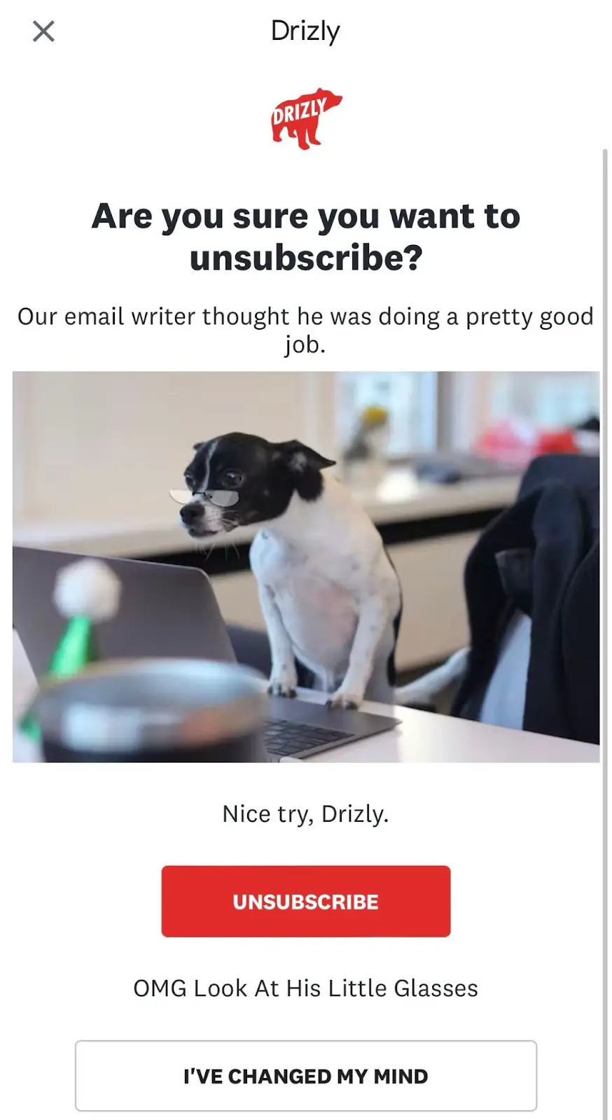 Great unsubscribe email from Drizly - Swipe File