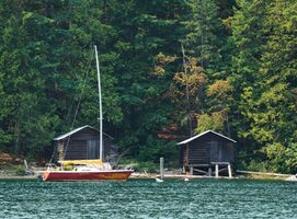 Forr The Planet: Sustainability Interview Series - Thoughtworks