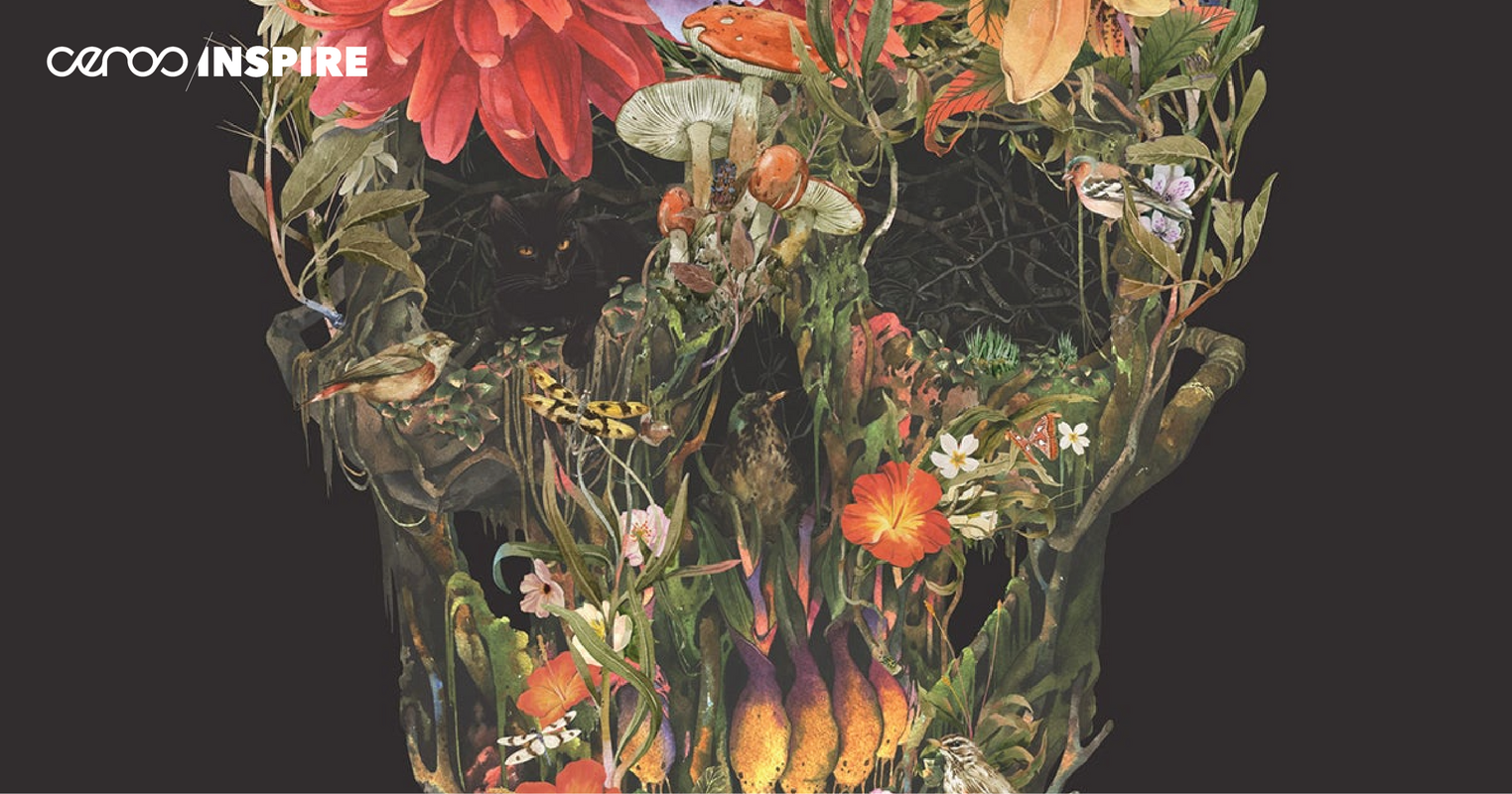 Illustrators Discuss Their First Paying Freelance Jobs - Ceros Inspire