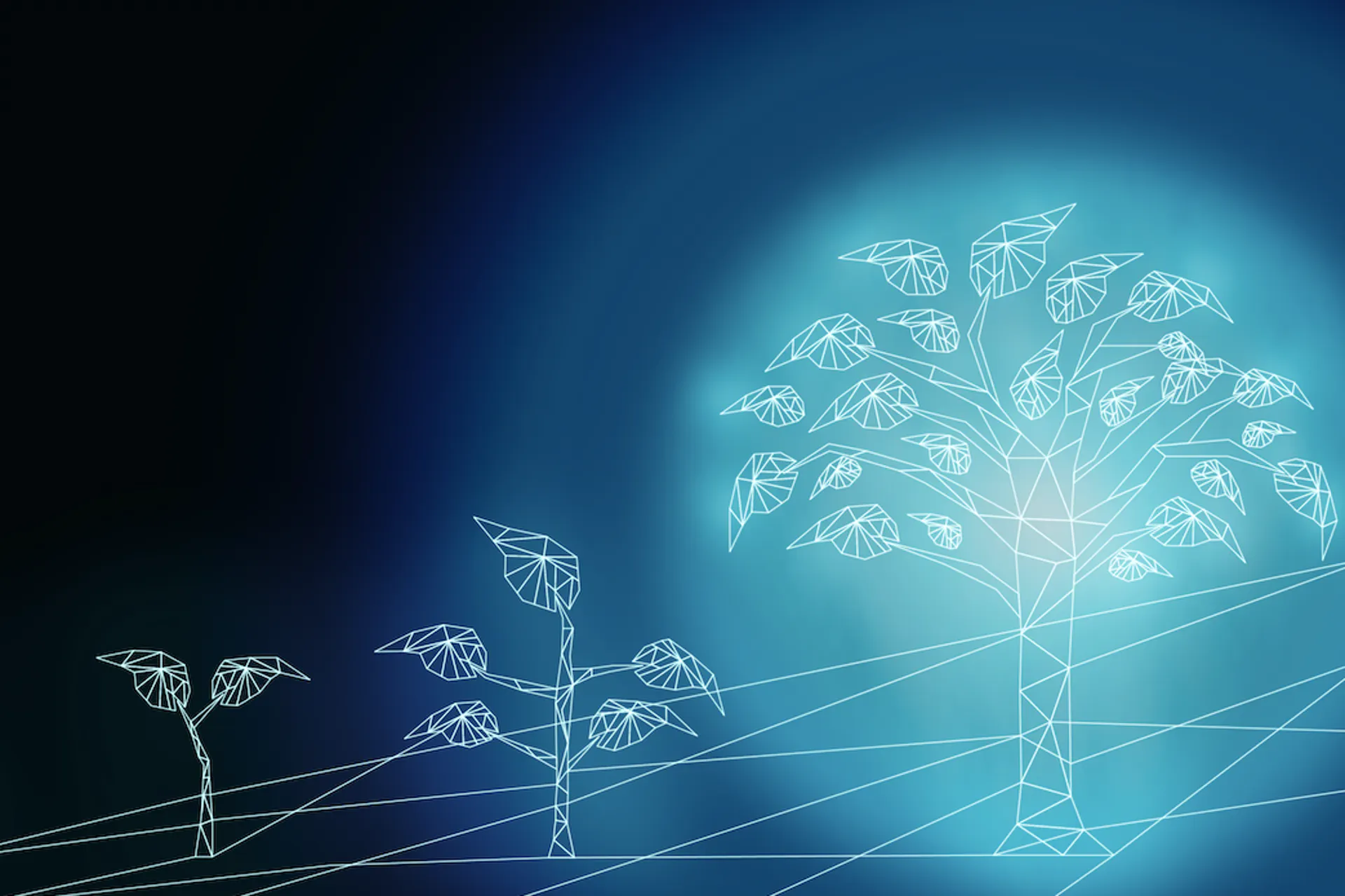 How to Kick Start a Digital Transformation Strategy