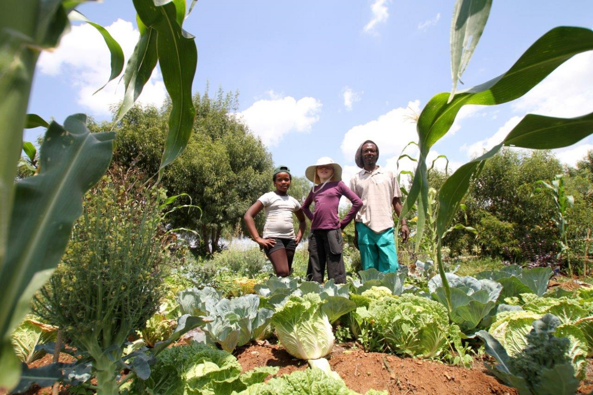 Food & Trees For Africa