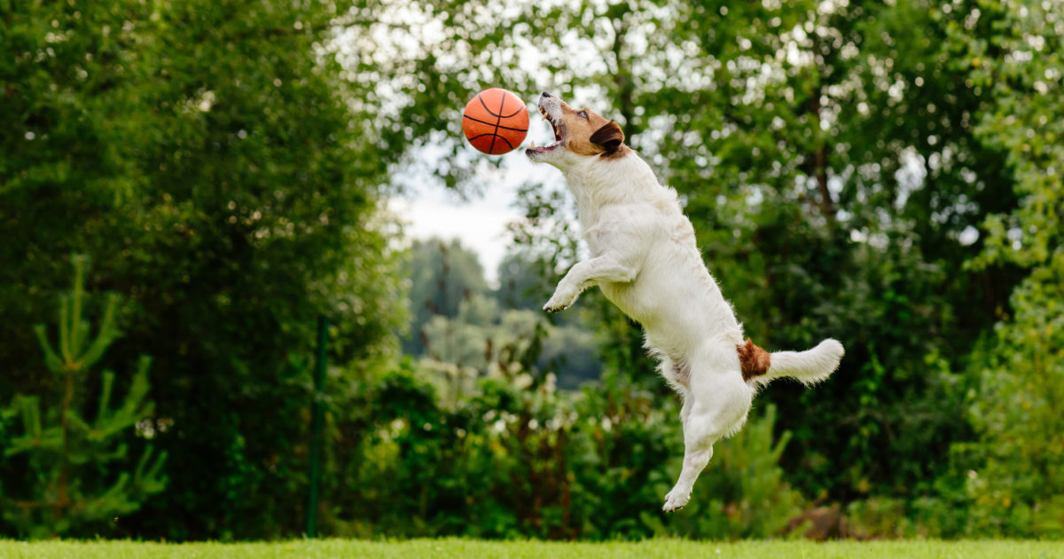 Test your Sales Email Skills with our Machine Learning March Madness...