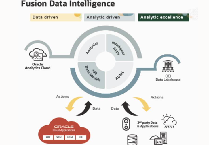 Prepare Custom Hostnames for Oracle Fusion Analytics Service Endpoints Internet Access