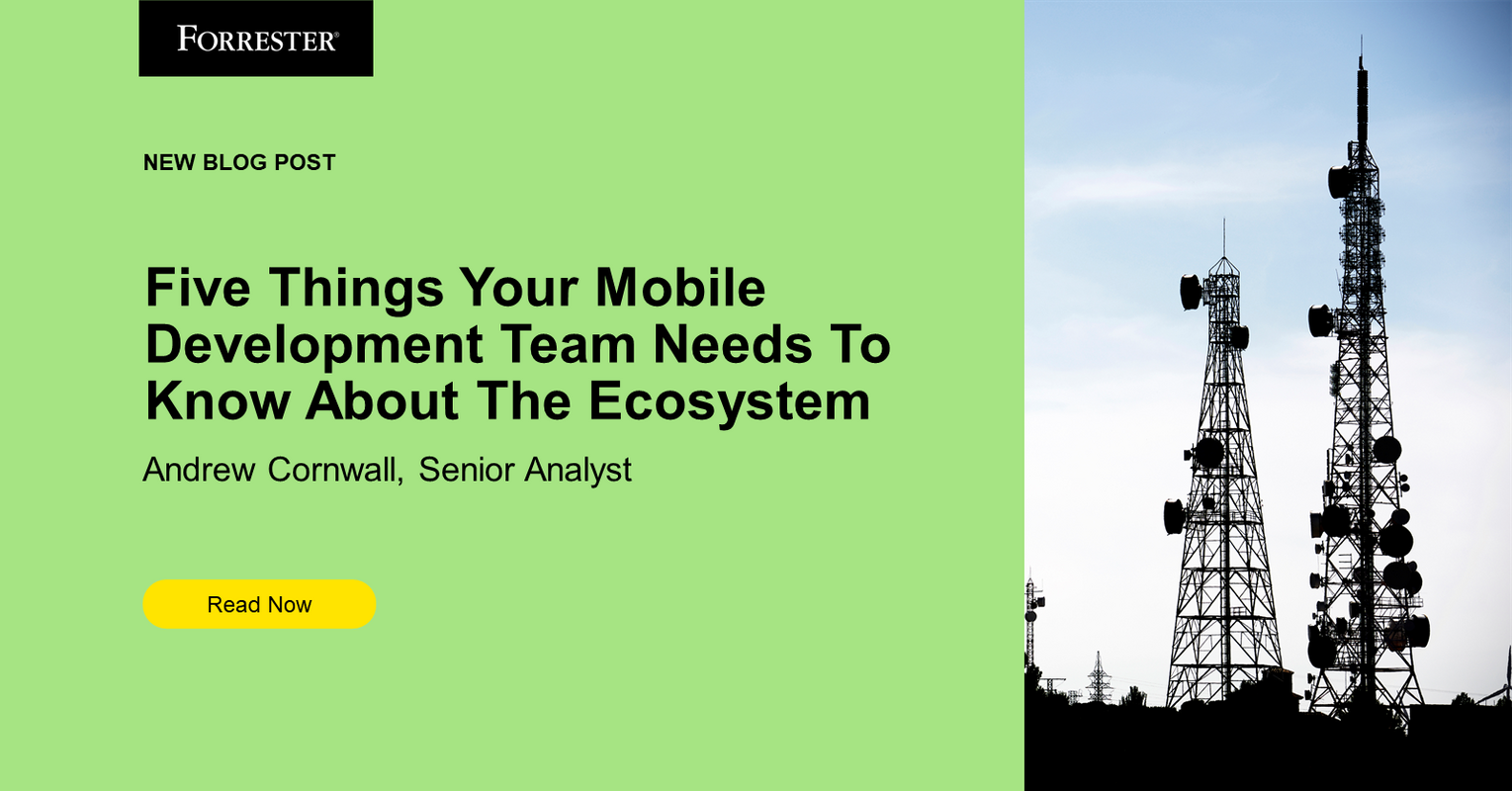 The Five Things Your Mobile Development Team Needs To Know About The Ecosystem