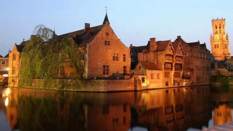 Flanders surprises: A Room with a Zoo open for business in Antwerp - Belgium! | Cvent Blog