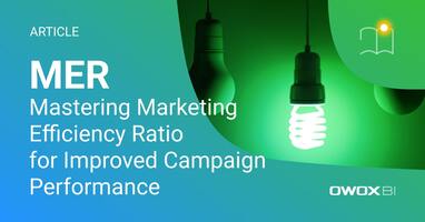 Mastering Marketing Efficiency Ratio (MER) for Improved Campaign Performance