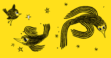 Mailchimp Has a New Look