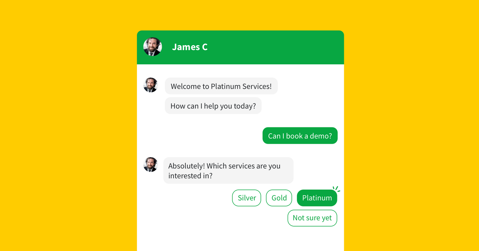 A Quick Guide to Website AI Chatbots