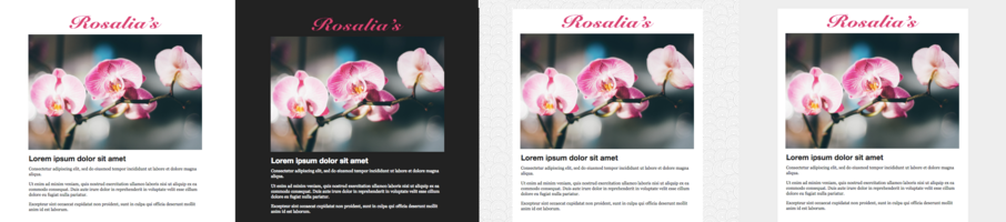 The Basics of Email Template Layout