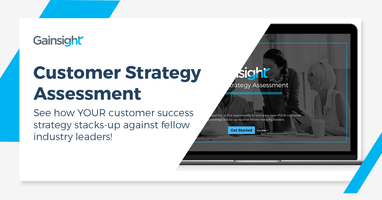 Customer Strategy Assessment | Customer Success and Product Experience Software | Gainsight